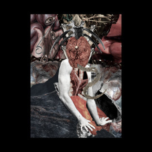 "The Dweller Of The Chamber" Posters and Art