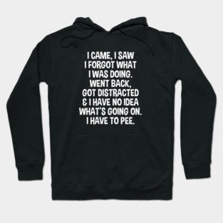 I Came I Saw I Forgot What I Was Doing - Funny Senior Citizen Saying Hoodie
