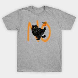 NoKings ~ political satire T-Shirt