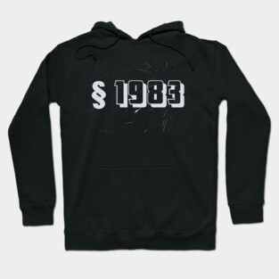 Section 1983 Hoodie
