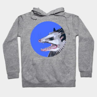 AAAAAAAA Trash Cat Possum Art Hoodie