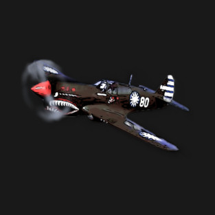 P-40 Warhawk T-Shirt