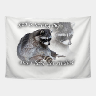 god is testing me Tapestry