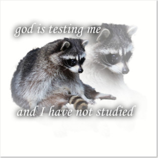 god is testing me Posters and Art