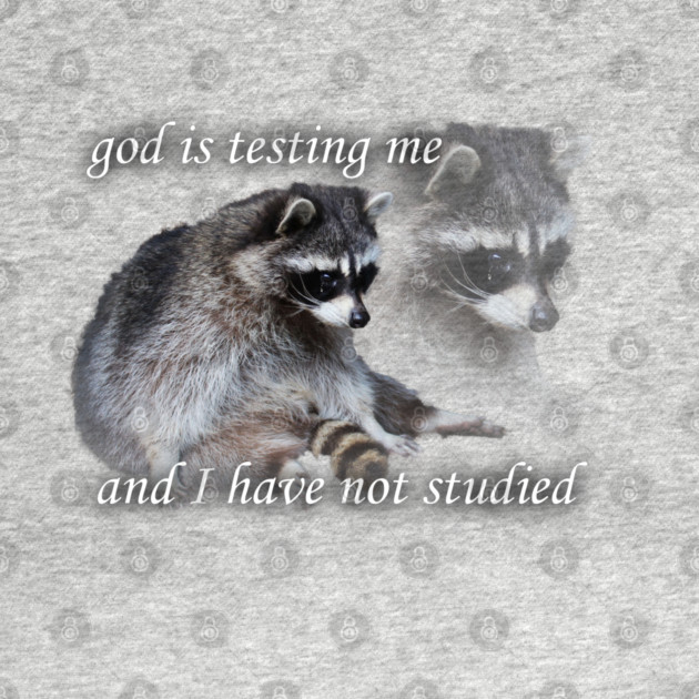 god is testing me by snazzyseagull
