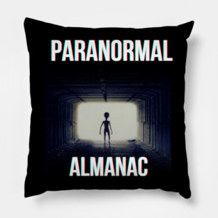 I KNEW THEY WERE HERE Pillow