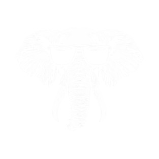 Elephant Wearing Sunglasses Magnet