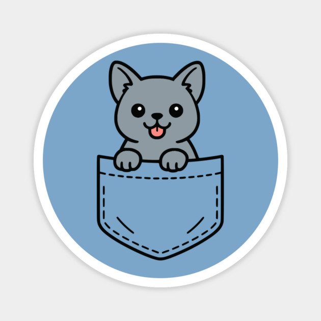 Cute British Shorthair Kitten Pocket Pal British Blue Cat Magnet by Yesteeyear