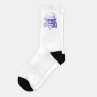 suzuki Socks