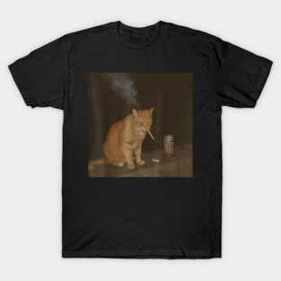 Cat Meme Cat Smoking Cigarette And Beer Baddies Get Saddies T Shirt T-Shirt