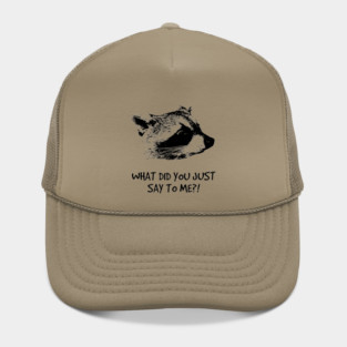 WHAT DID YOU JUST SAY TO ME?! Hat