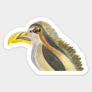 Morphological Bird Study - Hand-Drawn Pencil and Marker Art Magnet