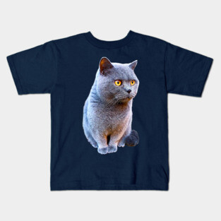 British Shorthair Cat Blue with Orange eyes Kids T-Shirt