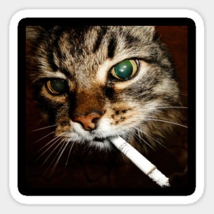 Cat Smoking Cigarette Sticker