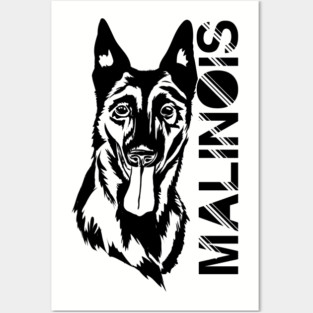 Malinois - Belgian shepherd Posters and Art