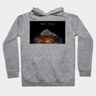 Biskante on Rock - Weed Design Hoodie