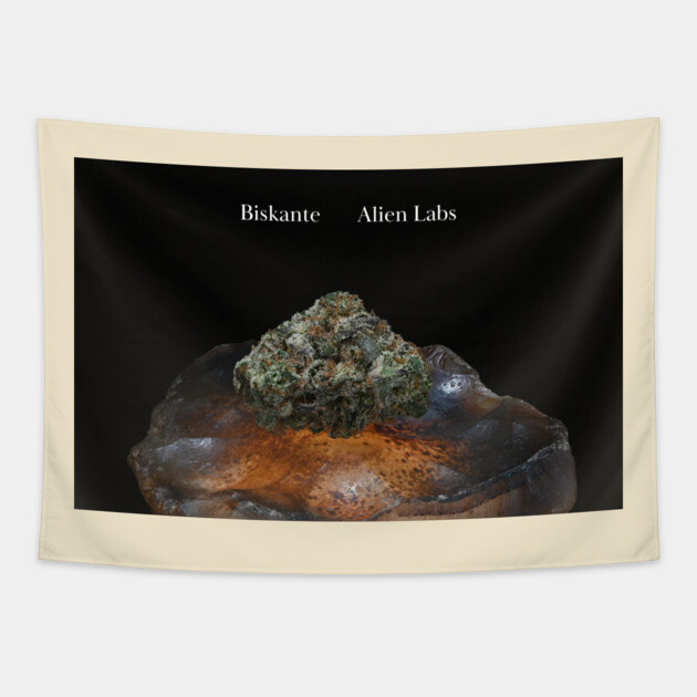 Biskante on Rock - Weed Design Tapestry by MrGreenGenes420