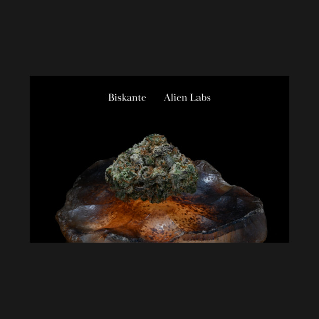 Biskante on Rock - Weed Design by MrGreenGenes420