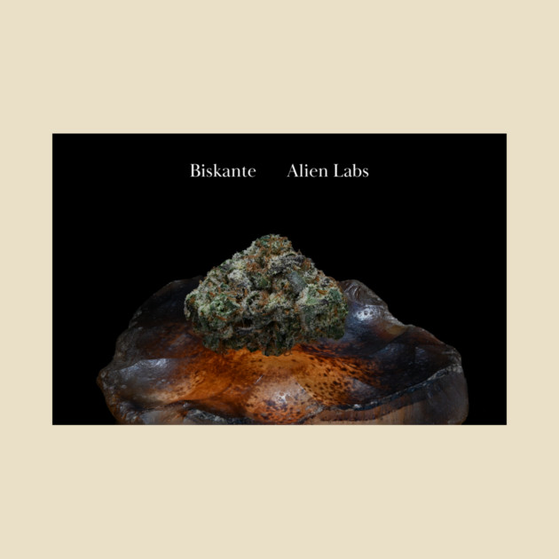 Biskante on Rock - Weed Design by MrGreenGenes420