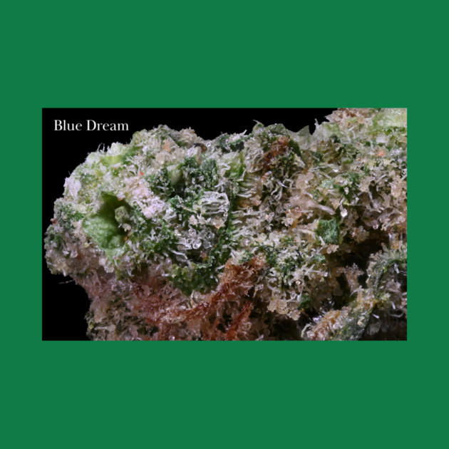 Blue Dream Macro - Weed Design by MrGreenGenes420