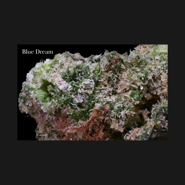 Blue Dream Macro - Weed Design by MrGreenGenes420