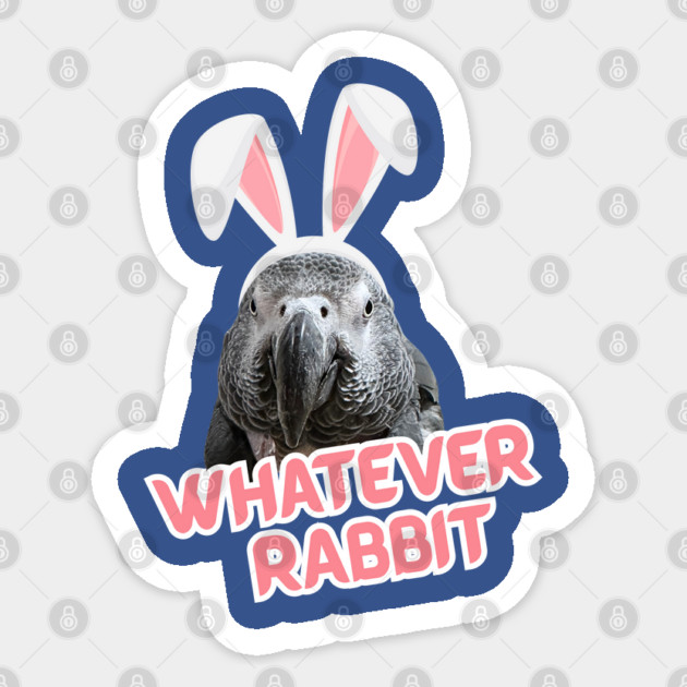Whatever Rabbit Sticker by Einstein Parrot