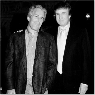 Trump and Jeffrey Epstein Posters and Art
