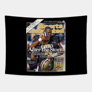 New Orleans After The Storm Tapestry