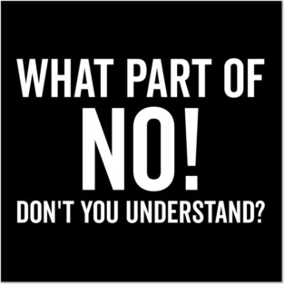 What Part of No Don’t You Understand Posters and Art