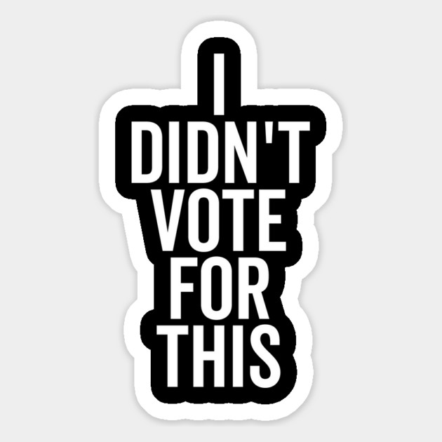 I Didn’t Vote For This Magnet by Frank Ring