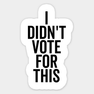I Didn’t Vote For This Magnet