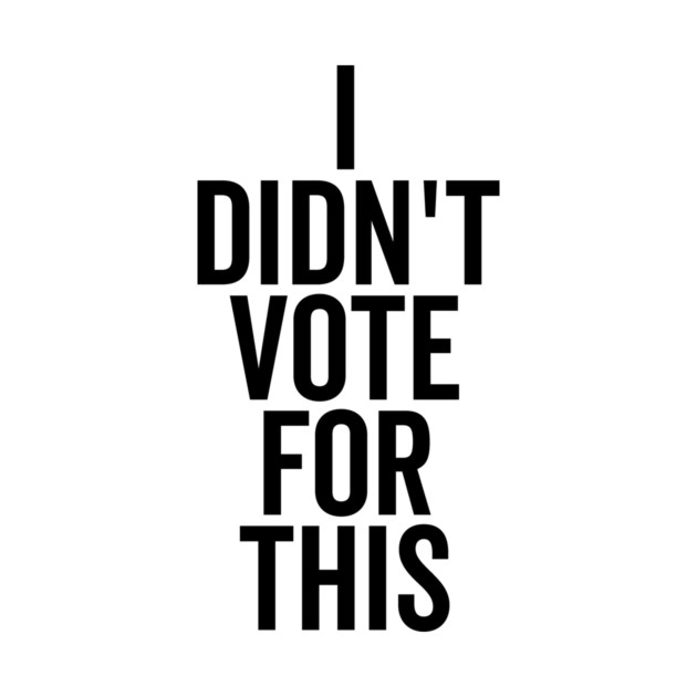 I Didn’t Vote For This by Frank Ring