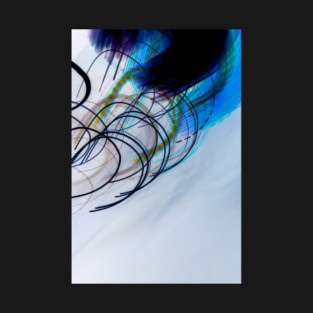 Lightplay Thunderbird Inversion T-Shirt