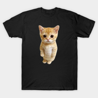 El Gato Cat Meme T-Shirt
