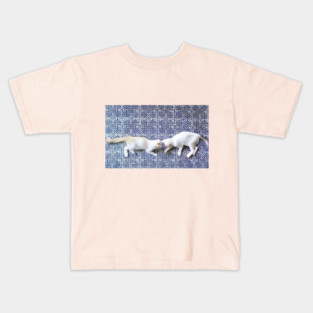 Hmong Harmony – Playful Cats in Tribal Pattern Kids T-Shirt