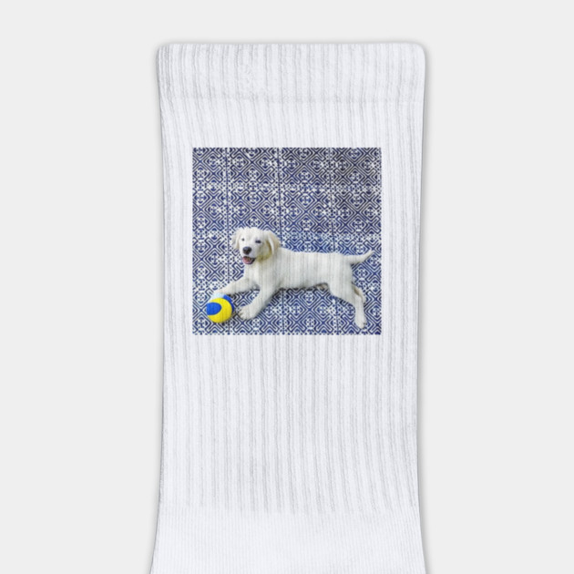 Joyful Pup – Playful Dog in Hmong Tribal Harmony by Pimcolle