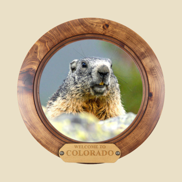 Welcome to Colorado Marmot T-Shirt