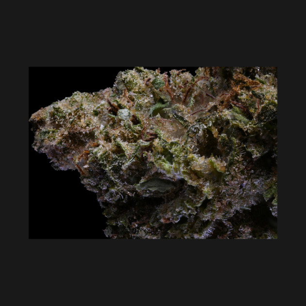 PBJ Humboldt Family Farms - Weed Design by MrGreenGenes420