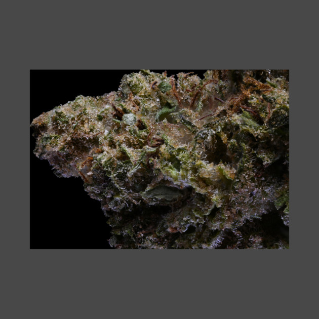 PBJ Humboldt Family Farms - Weed Design by MrGreenGenes420