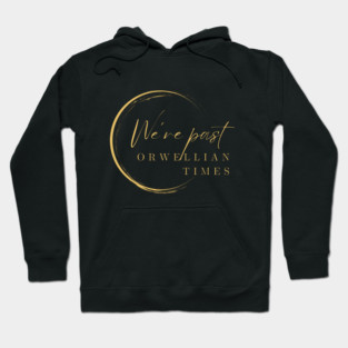 We’re past Orwellian times Hoodie