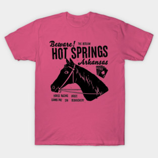Hot Springs is Fun T-Shirt