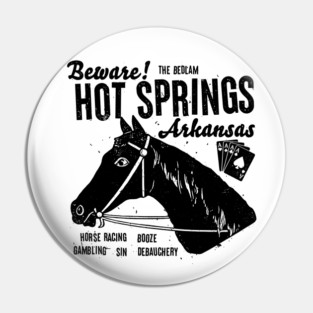 Hot Springs is Fun Pin
