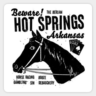 Hot Springs is Fun Sticker