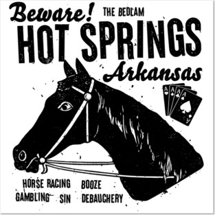 Hot Springs is Fun Posters and Art