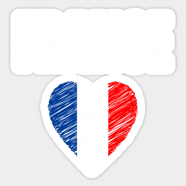 France flag, french flag Magnet by eka123