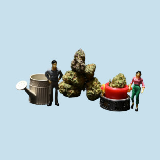 How Does Your Garden Grow - Weed Design T-Shirt