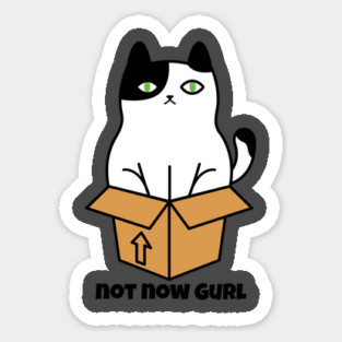 Cat not now Gurl Sticker