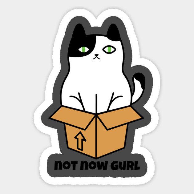 Cat not now Gurl Sticker by FirstClassQueen