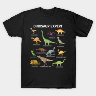 Boys Dinosaur T-Shirt