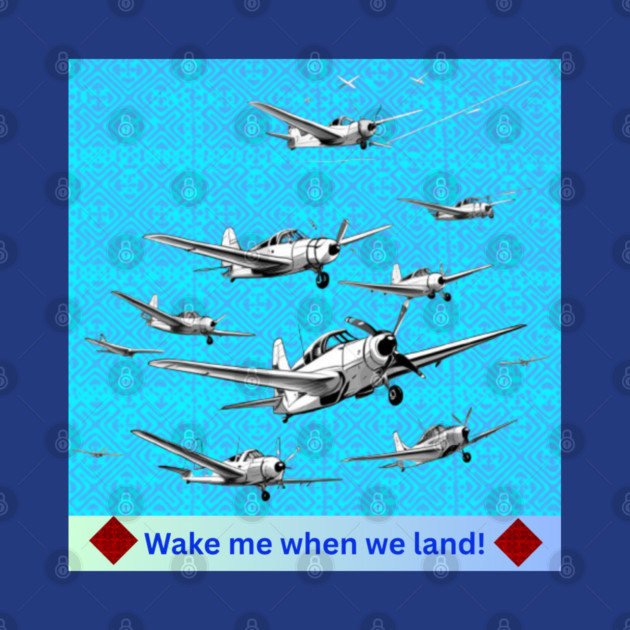 Wake Me When We Land – Vintage Plane Flight on Hmong Indigo by Pimcolle